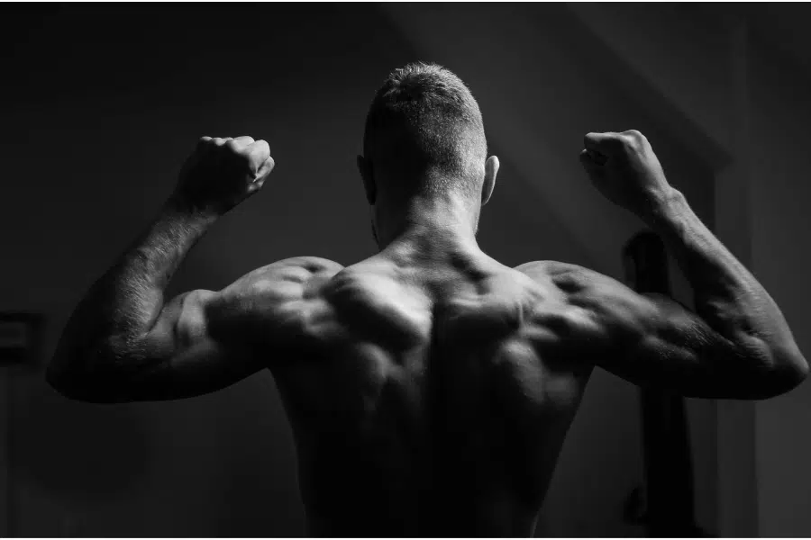 L'Impact de l'Âge sur la Musculation