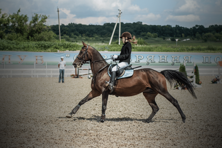 Équitation et Syndrome Rotulien