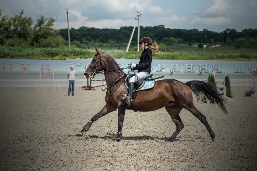 Équitation et Syndrome Rotulien