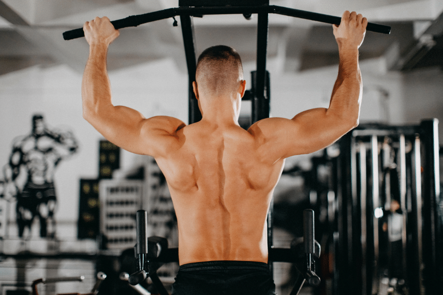 Calculateur de Sarcopénie et Dépistage Détecte la Perte Musculaire Liée à l'Âge Avant qu'il ne soit Trop Tard