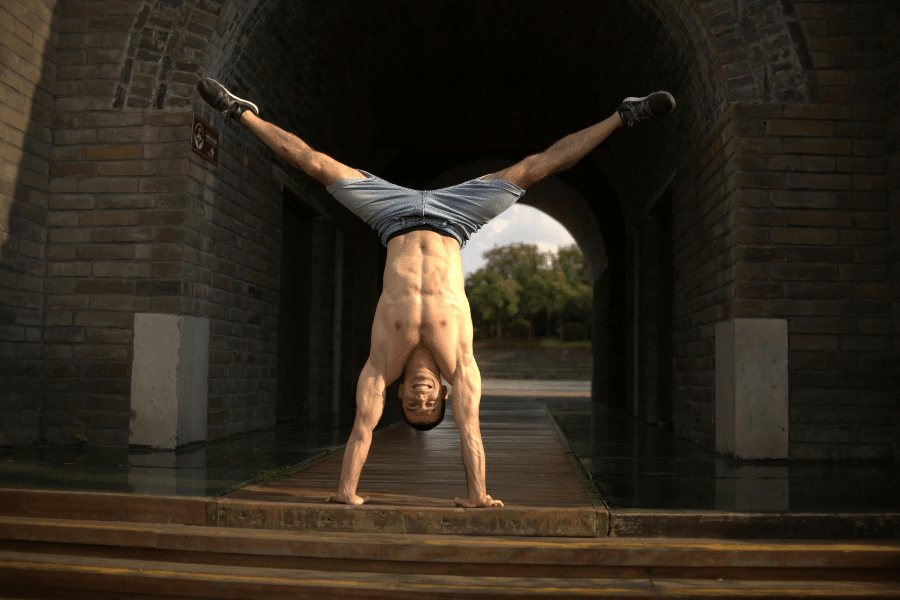 Split musculaire vs Full Body comparatif scientifique pour choisir son programme