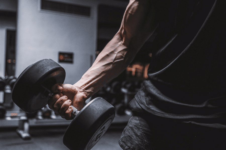 Polyarticulaire vs isolation calculateur de répartition musculation