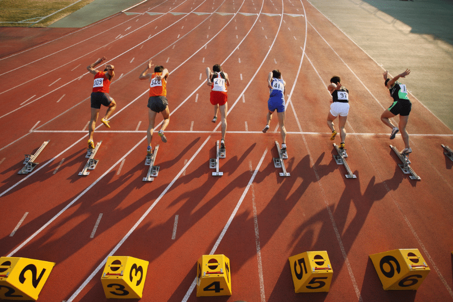 Statut de Sportif de Haut Niveau quiz éligibilité + guide des 4 catégories SHN